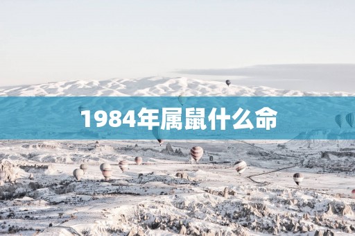 1984年属鼠什么命