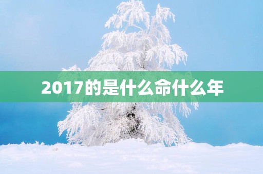 2017的是什么命什么年