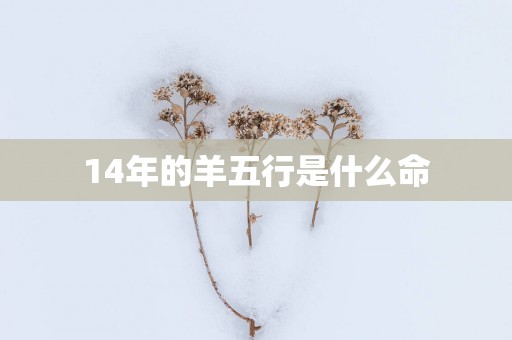 14年的羊五行是什么命