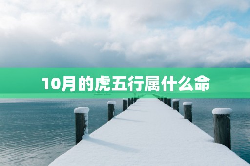 10月的虎五行属什么命