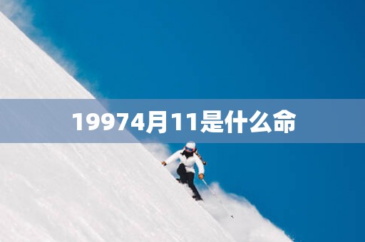 19974月11是什么命