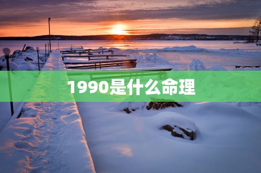 1990是什么命理