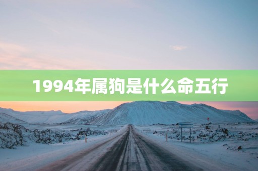 1994年属狗是什么命五行