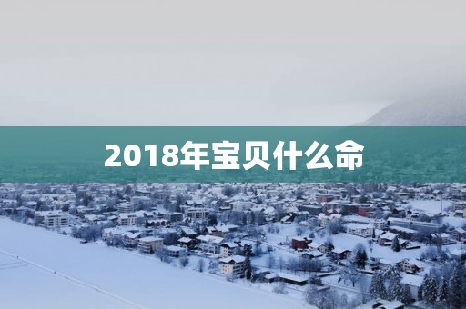 2018年宝贝什么命