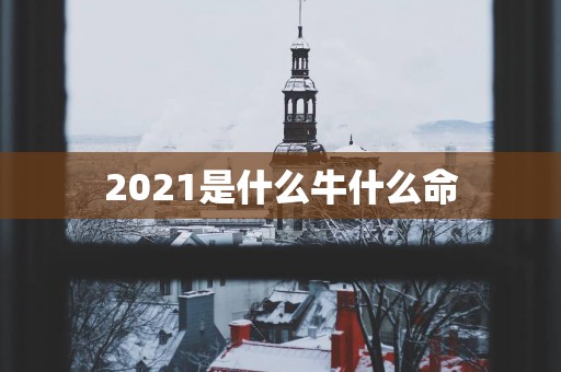 2025是什么牛什么命