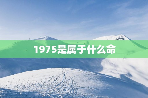 1975是属于什么命