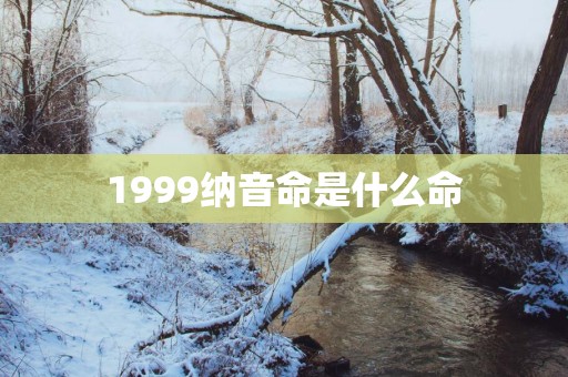 1999纳音命是什么命