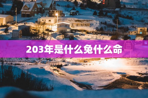 203年是什么兔什么命