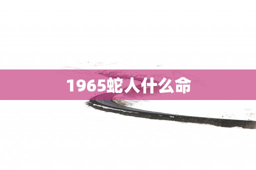 1965蛇人什么命