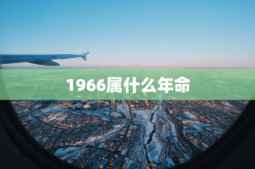 1966属什么年命