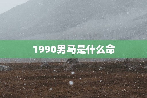 1990男马是什么命