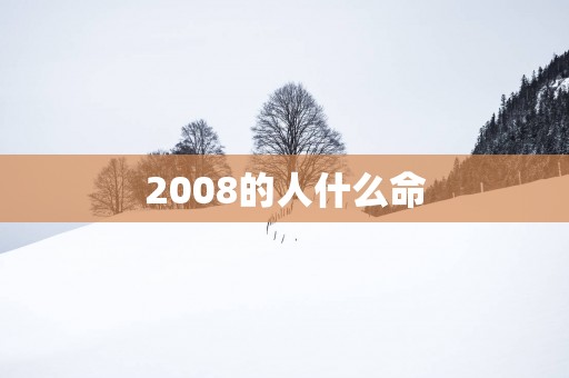 2008的人什么命 2008的人什么命