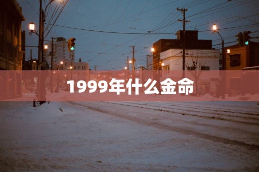 1999年什么金命
