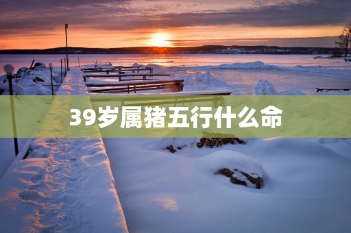 39岁属猪五行什么命