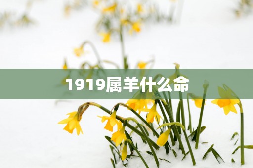 1919属羊什么命