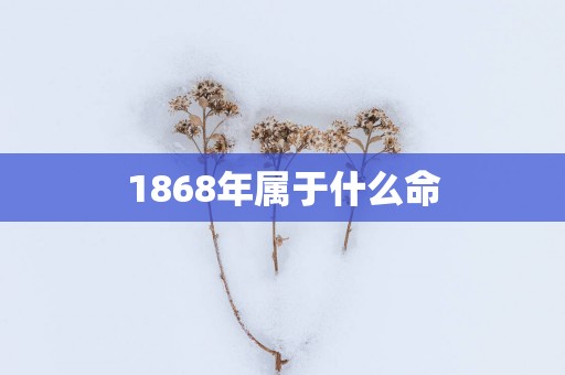 1868年属于什么命