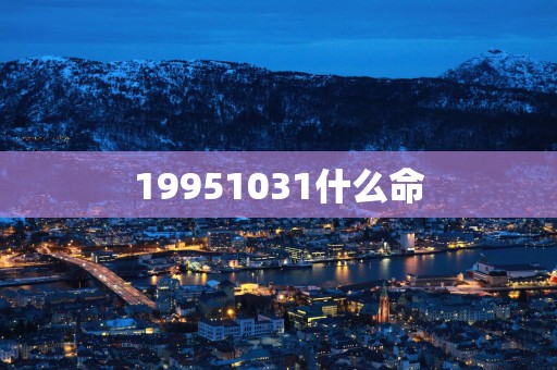 19951031什么命
