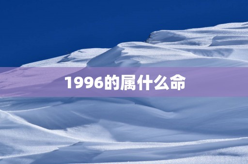 1996的属什么命