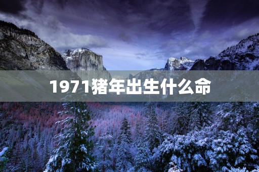 1971猪年出生什么命