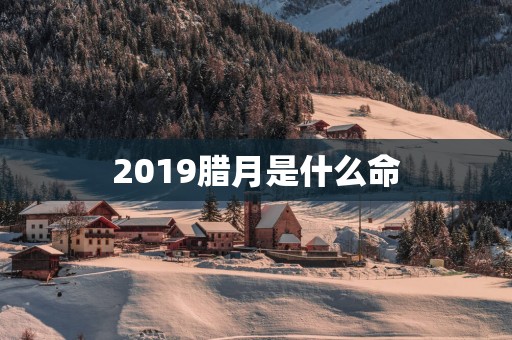 2019腊月是什么命