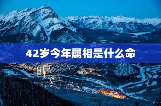 42岁今年属相是什么命