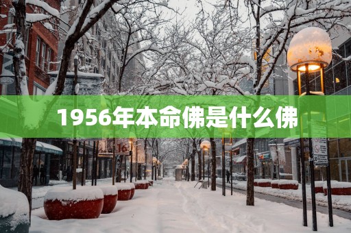 1956年本命佛是什么佛