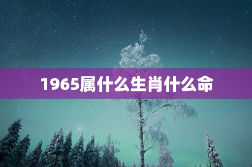 1965属什么生肖什么命