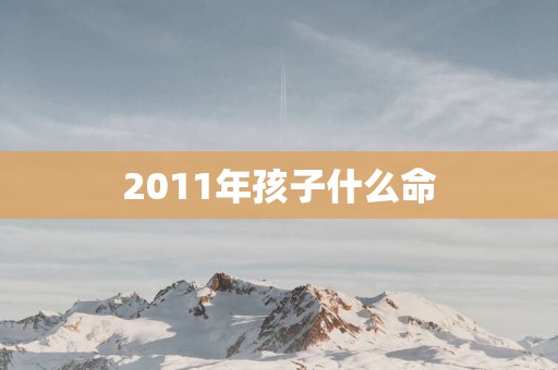 2011年孩子什么命