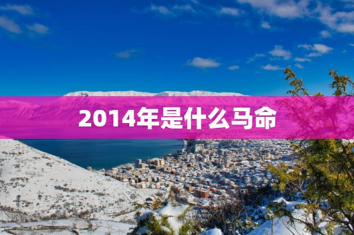 2014年是什么马命