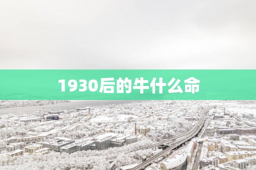1930后的牛什么命