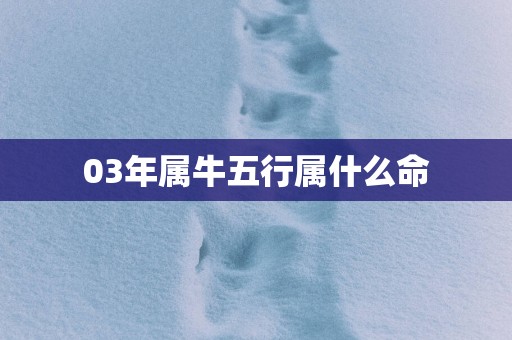 03年属牛五行属什么命