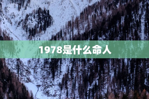 1978是什么命人