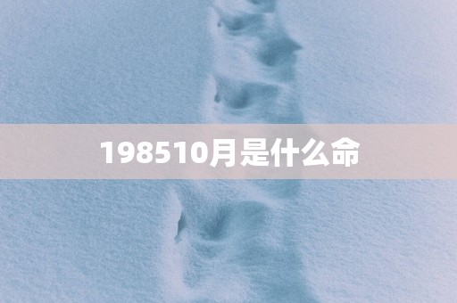 198510月是什么命