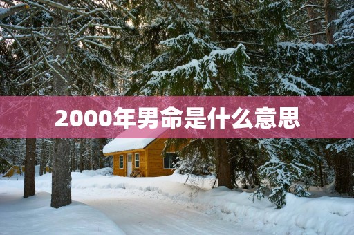 2000年男命是什么意思