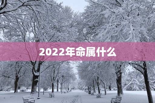 2025年命属什么