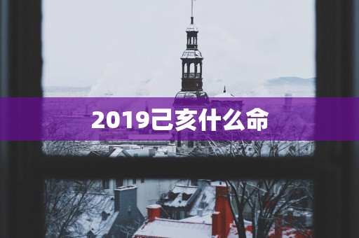 2019己亥什么命