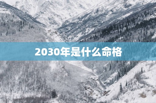 2030年是什么命格
