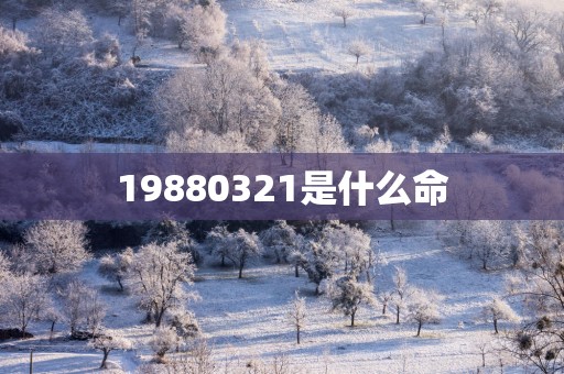 19880321是什么命