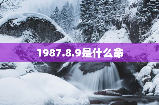 1987.8.9是什么命