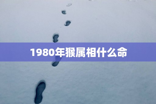 1980年猴属相什么命