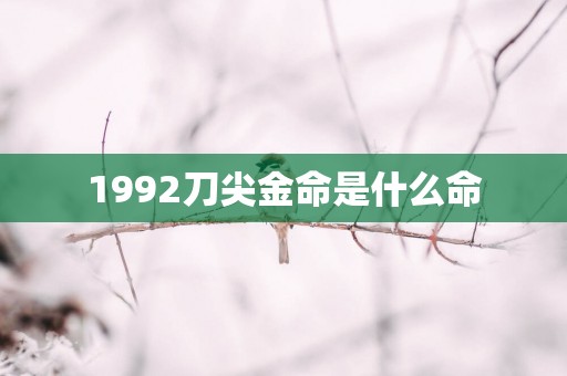 1992刀尖金命是什么命