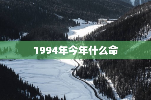 1994年今年什么命