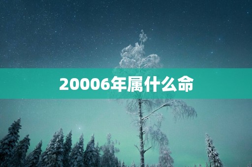 20006年属什么命