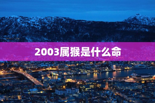 2003属猴是什么命