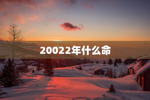 20022年什么命