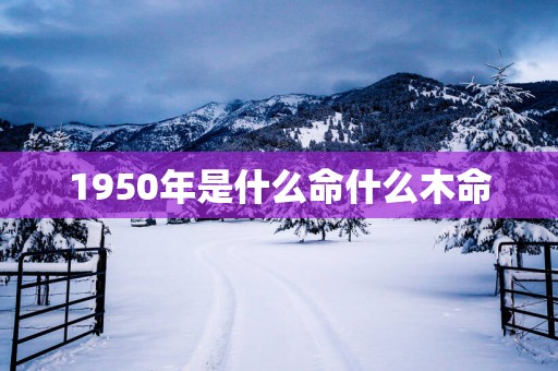 1950年是什么命什么木命