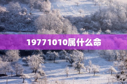 19771010属什么命
