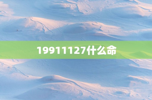 19911127什么命