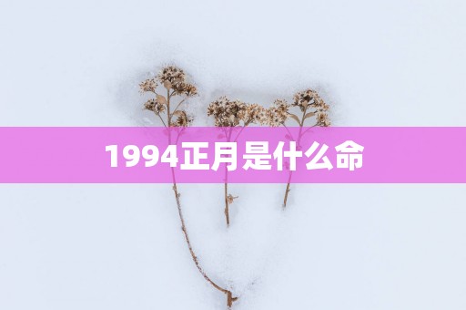 1994正月是什么命