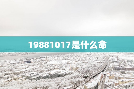 19881017是什么命
